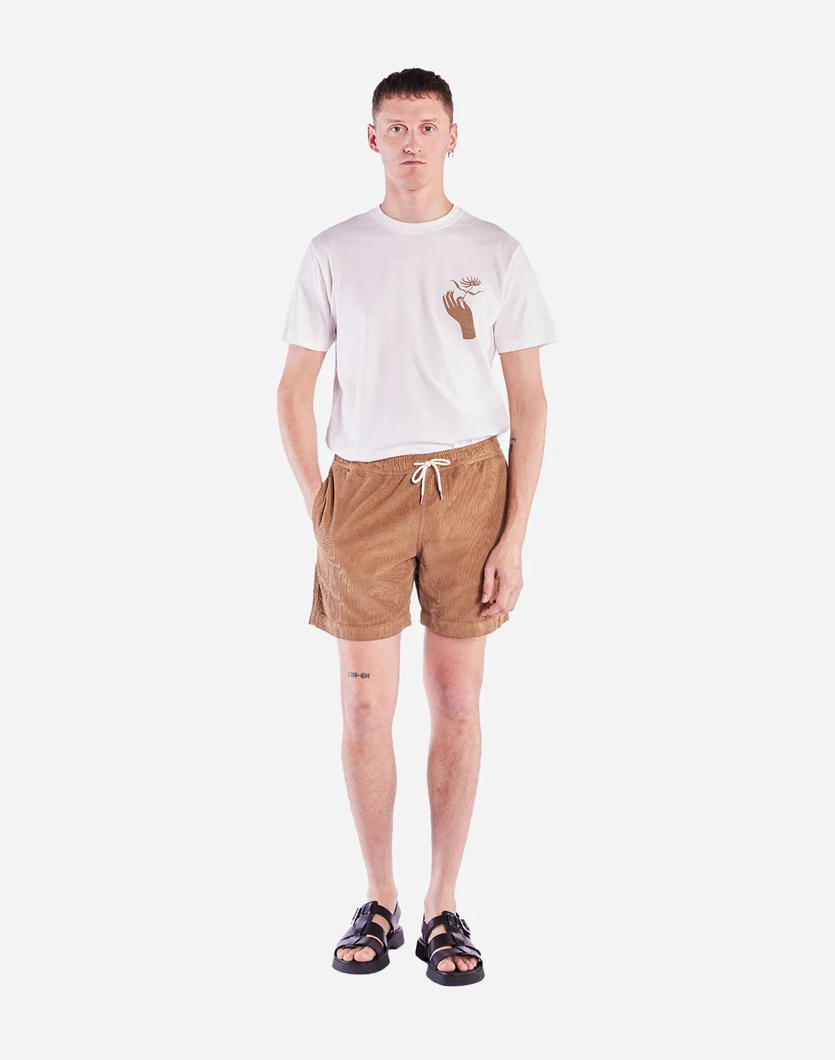 Olow Bodhi short taupe velours coton