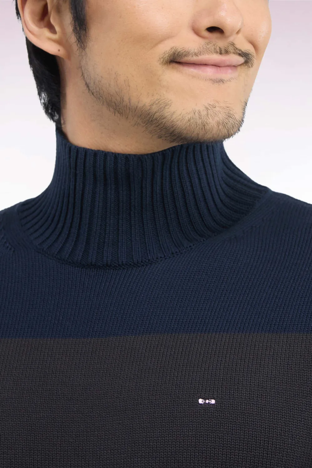 Eden Park Tradi Preppy pull homme col cheminée rayé marron