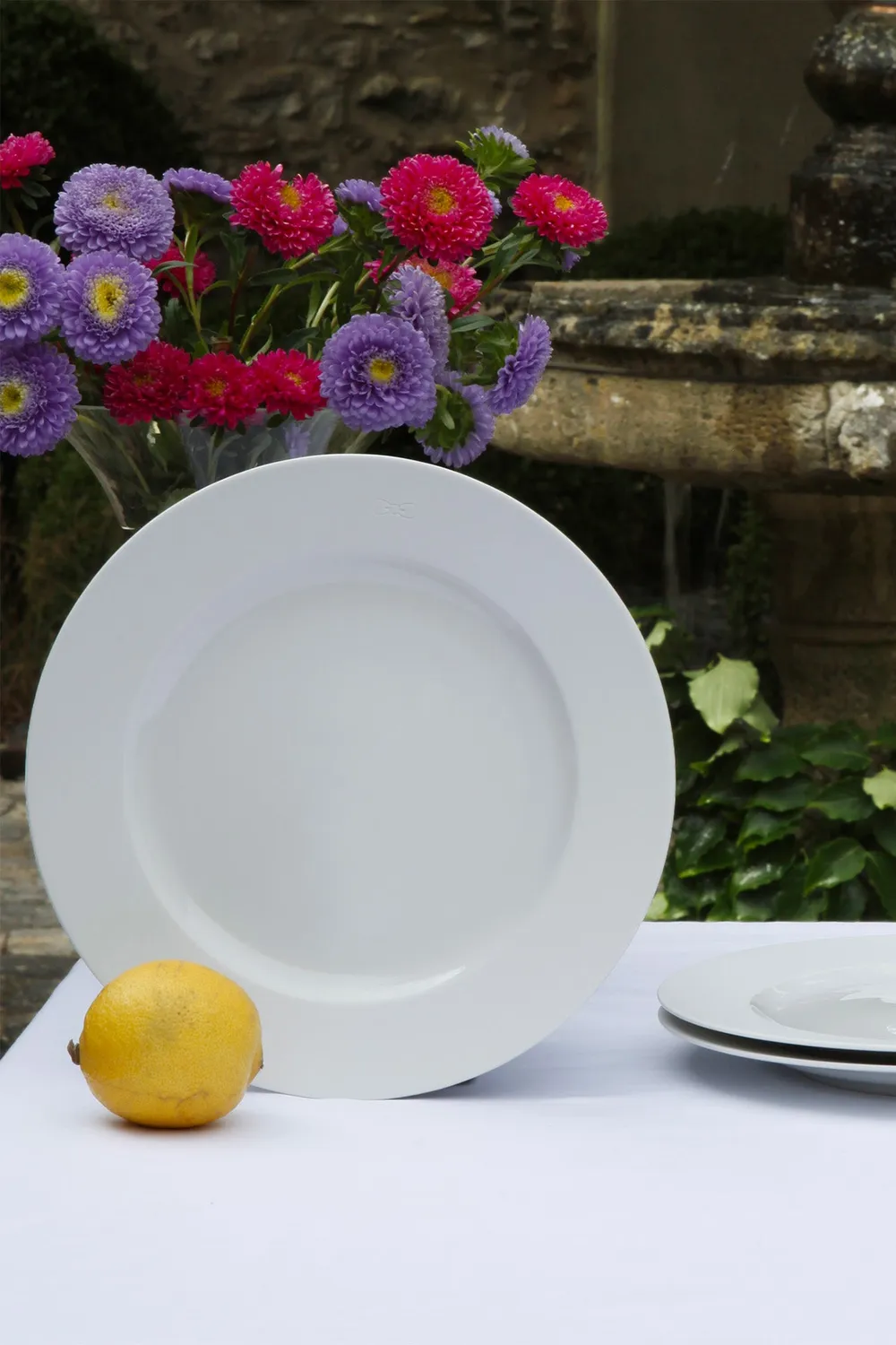 Eden Park lot 6 assiettes dessert porcelaine Limoges