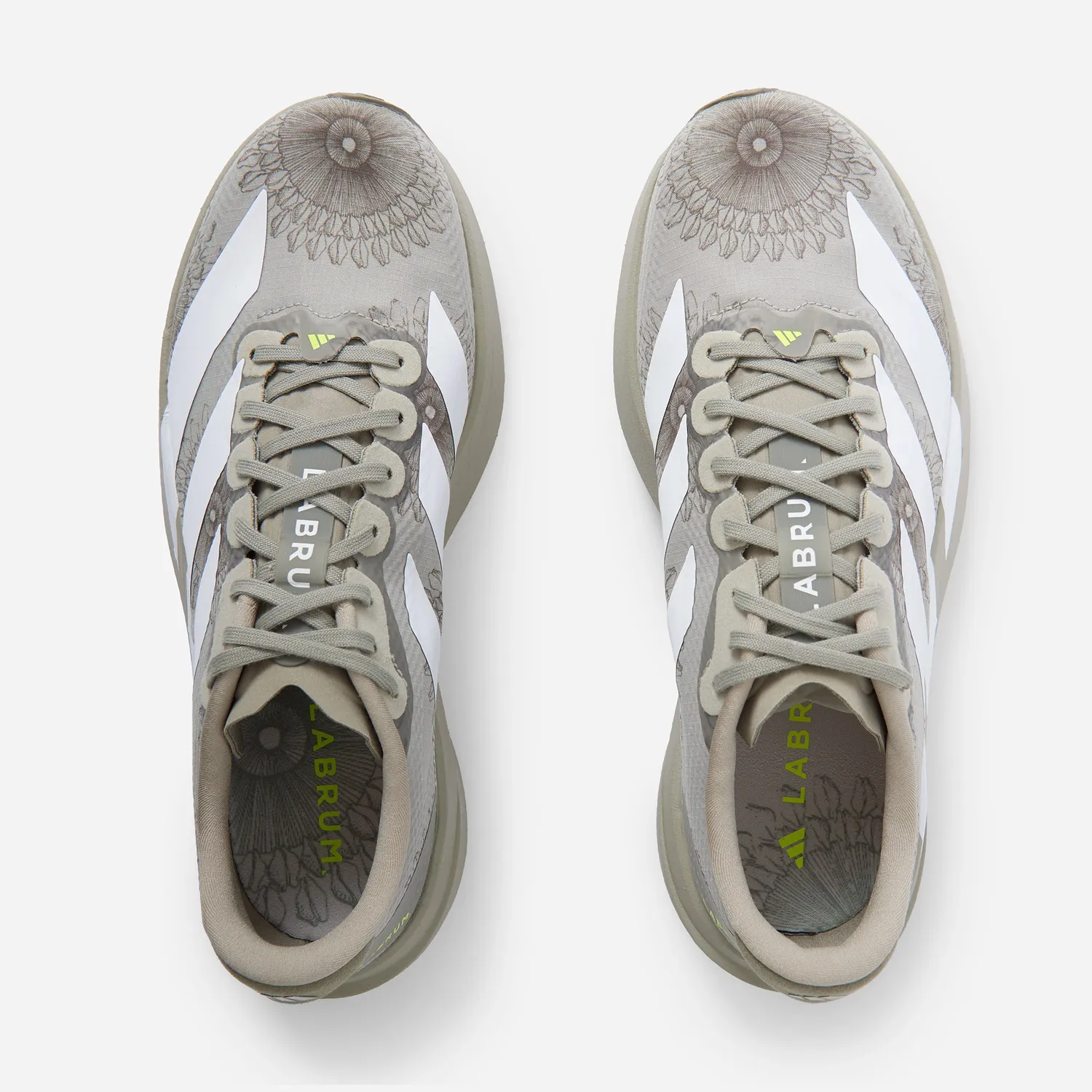 Labrum x adidas Adizero EVO SL chaussure sesame running