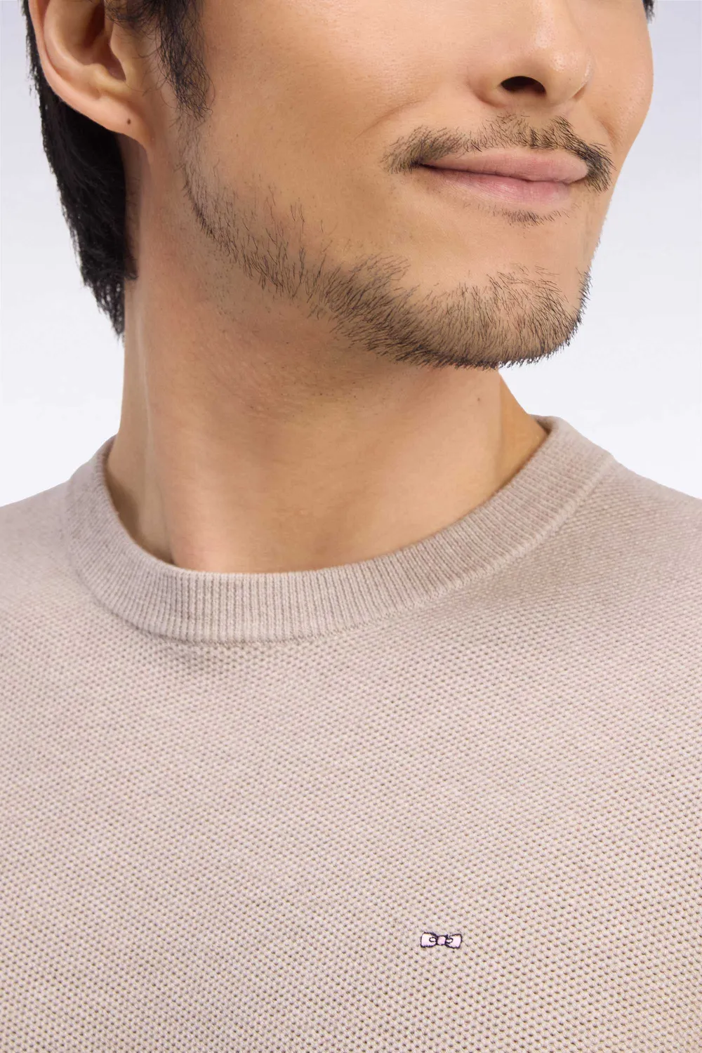 Eden Park H26MAIPU0005 pull beige coton col rond droit