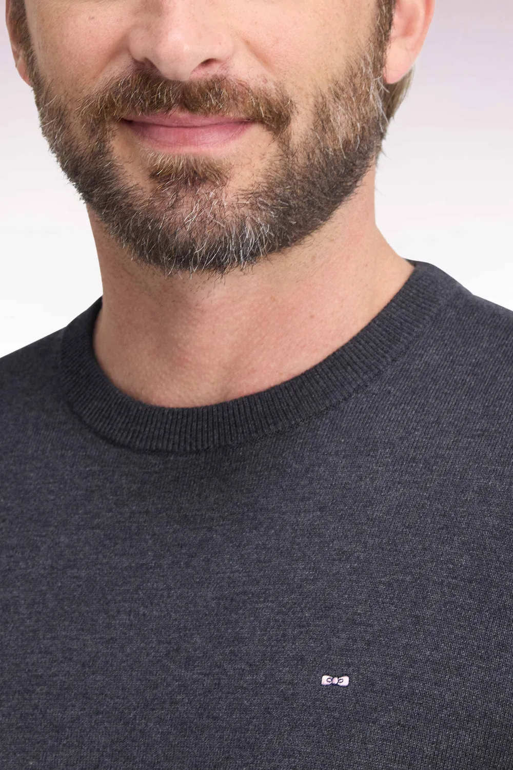 Eden Park Pull col rond coton viscose gris foncé