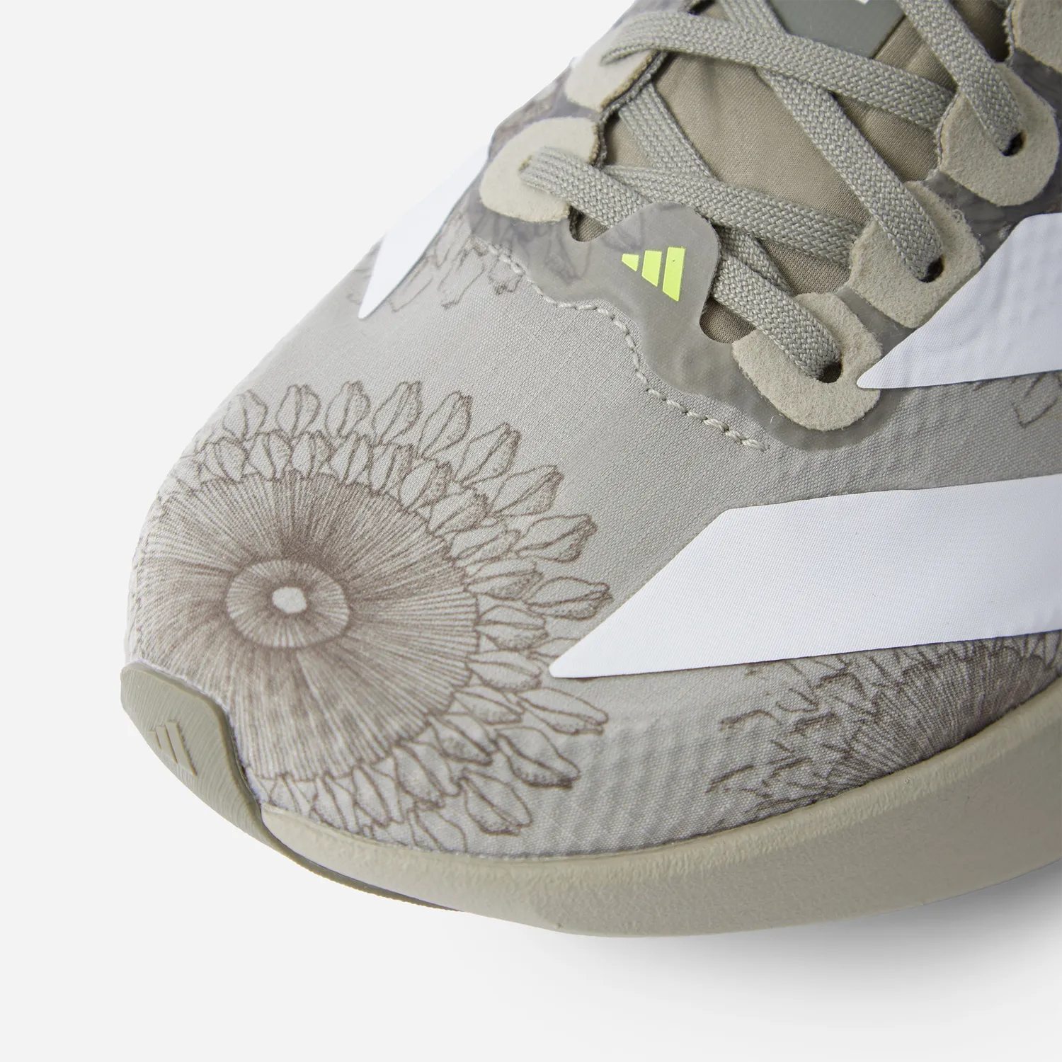 Labrum x adidas Adizero EVO SL chaussure sesame running