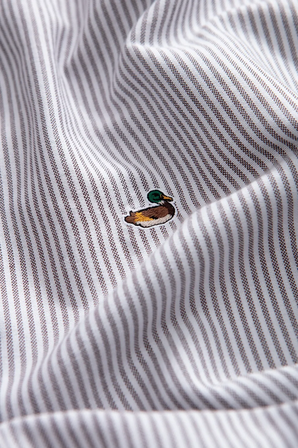 Edmmond Studios Duck chemise rayée chocolat oxford