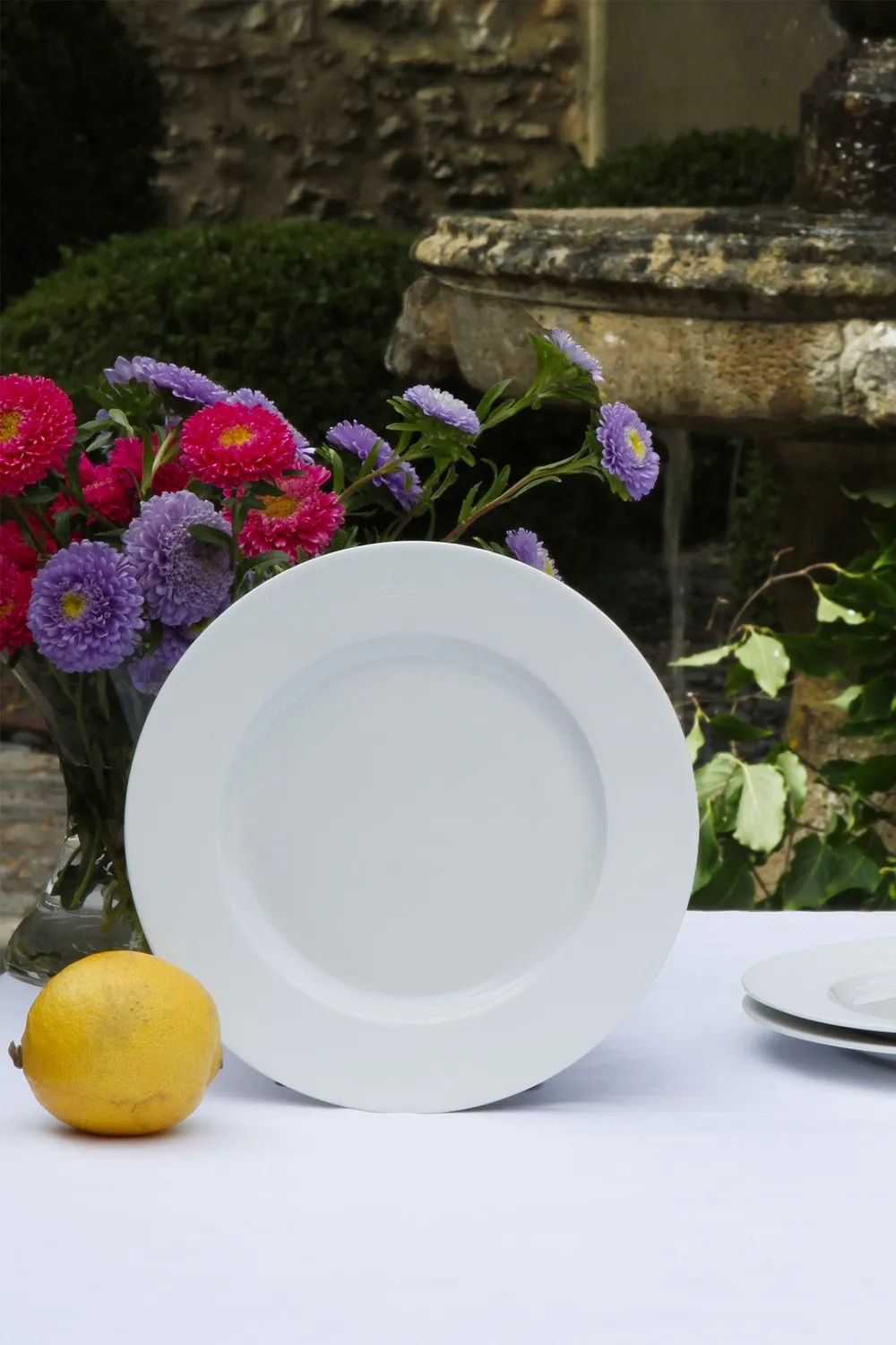Eden Park Lot 6 assiettes porcelaine Limoges blanches 26,5 cm